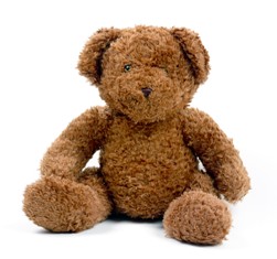 Teddy Bear - Snuggle Buggle